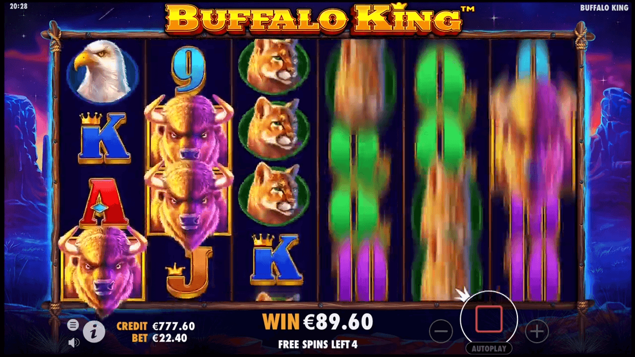 Buffalo King Review