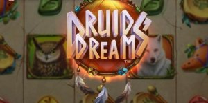 Druids Dream logo achtergrond