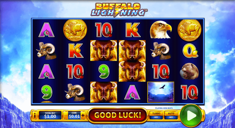 Buffalo Lightning Review