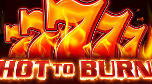 Hot To Burn logo achtergrond