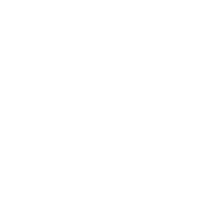 ReelPlay logo