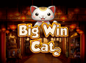 Big Win Cat logo achtergrond