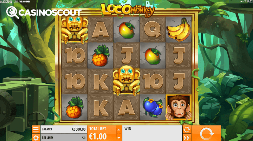 Loco The Monkey Review
