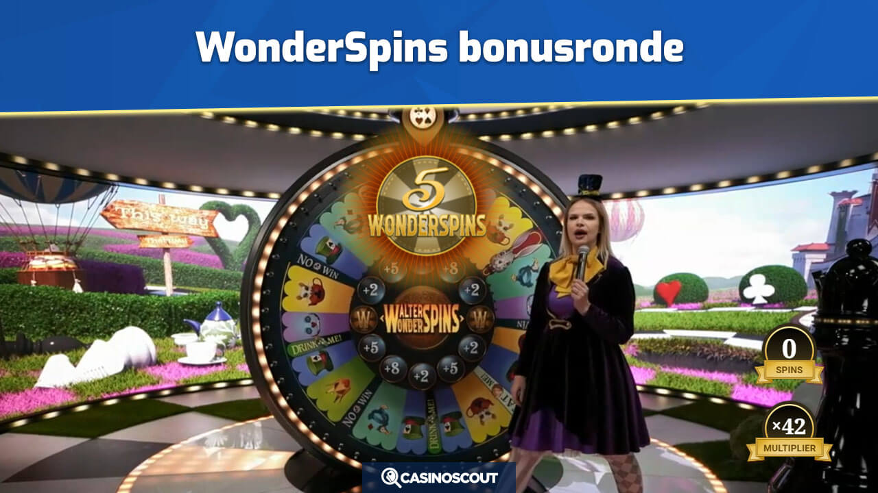 wonderspins Adventures beyond Wonderland