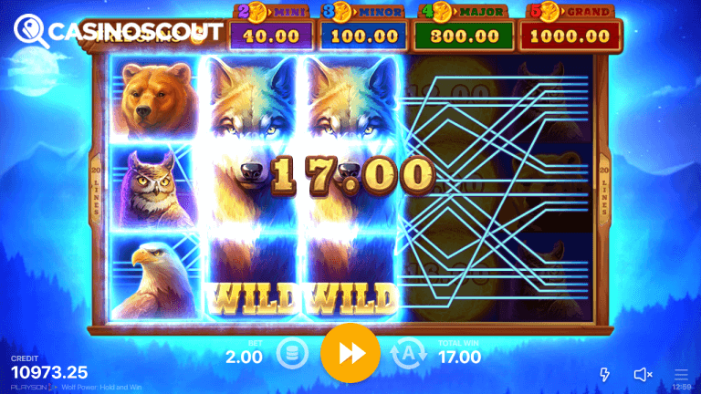 Wolf Power: Hold and Win Bonus