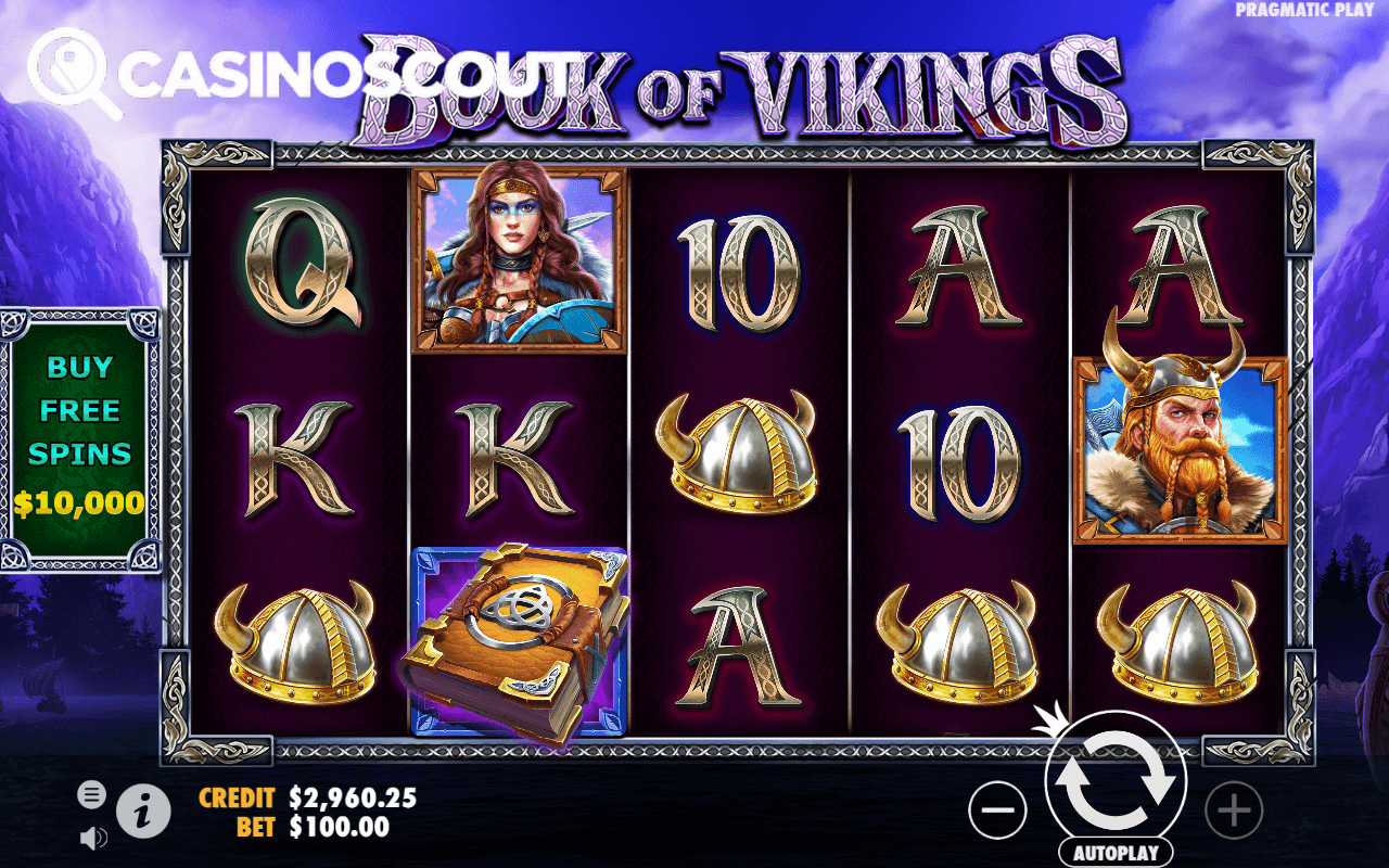 Book of Vikings Review