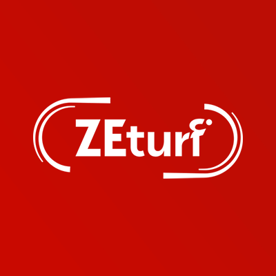 ZEturf side logo review