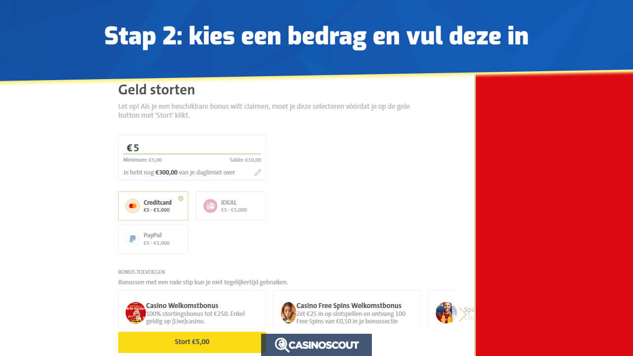 Kies een bedrag en vul dat in