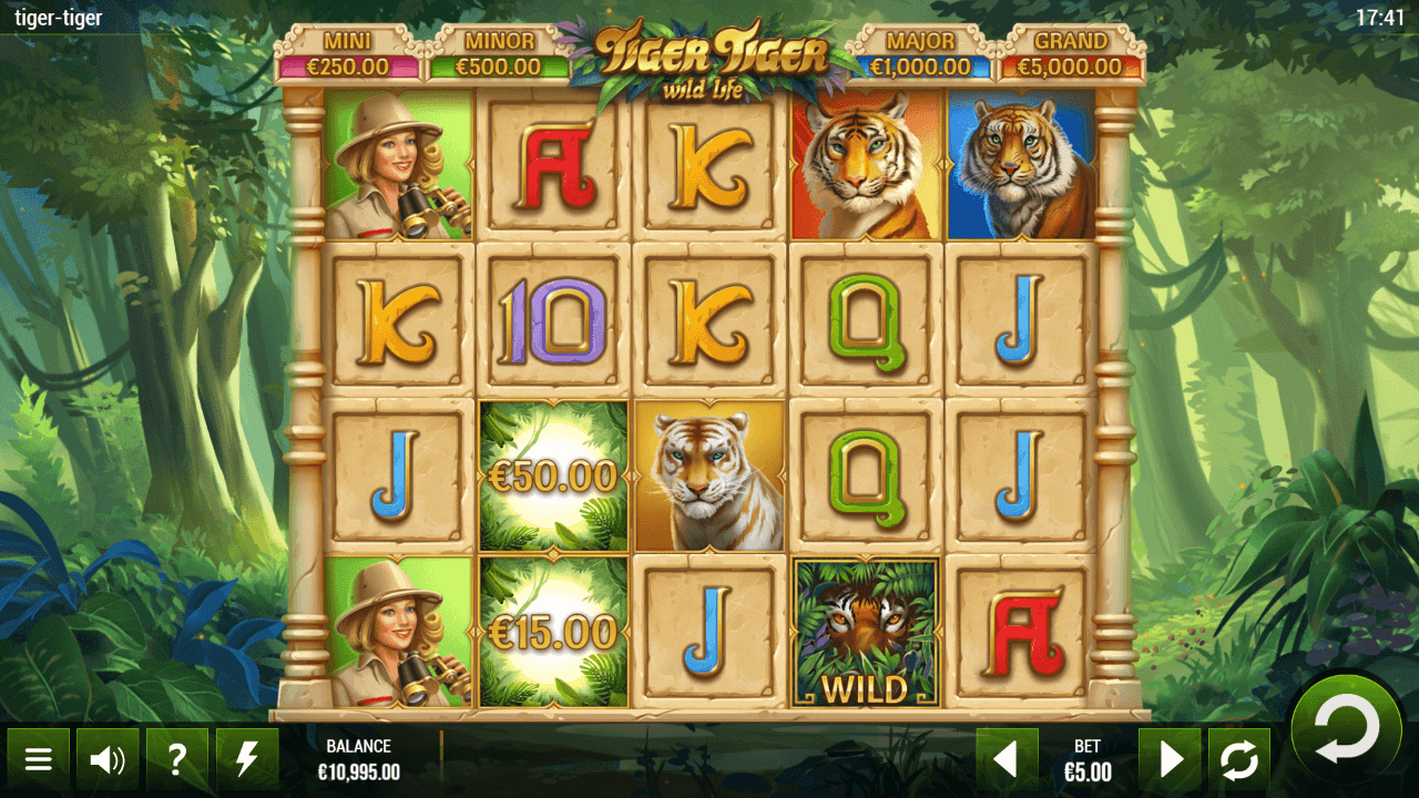 Tiger Tiger Review