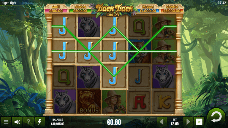 Tiger Tiger Bonus