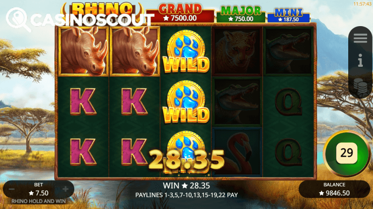 Rhino Hold and Win Bonus