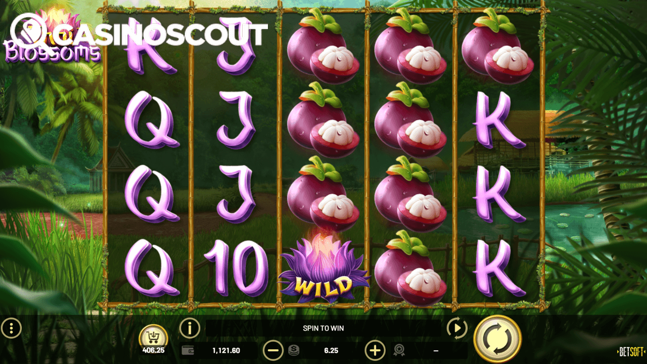 Thai Blossom Review
