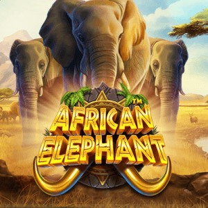 African Elephant logo achtergrond