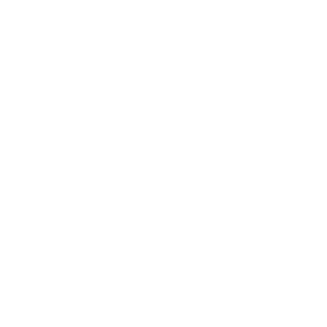 Bingoal logo