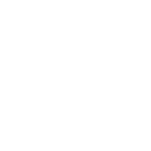 flutter logo