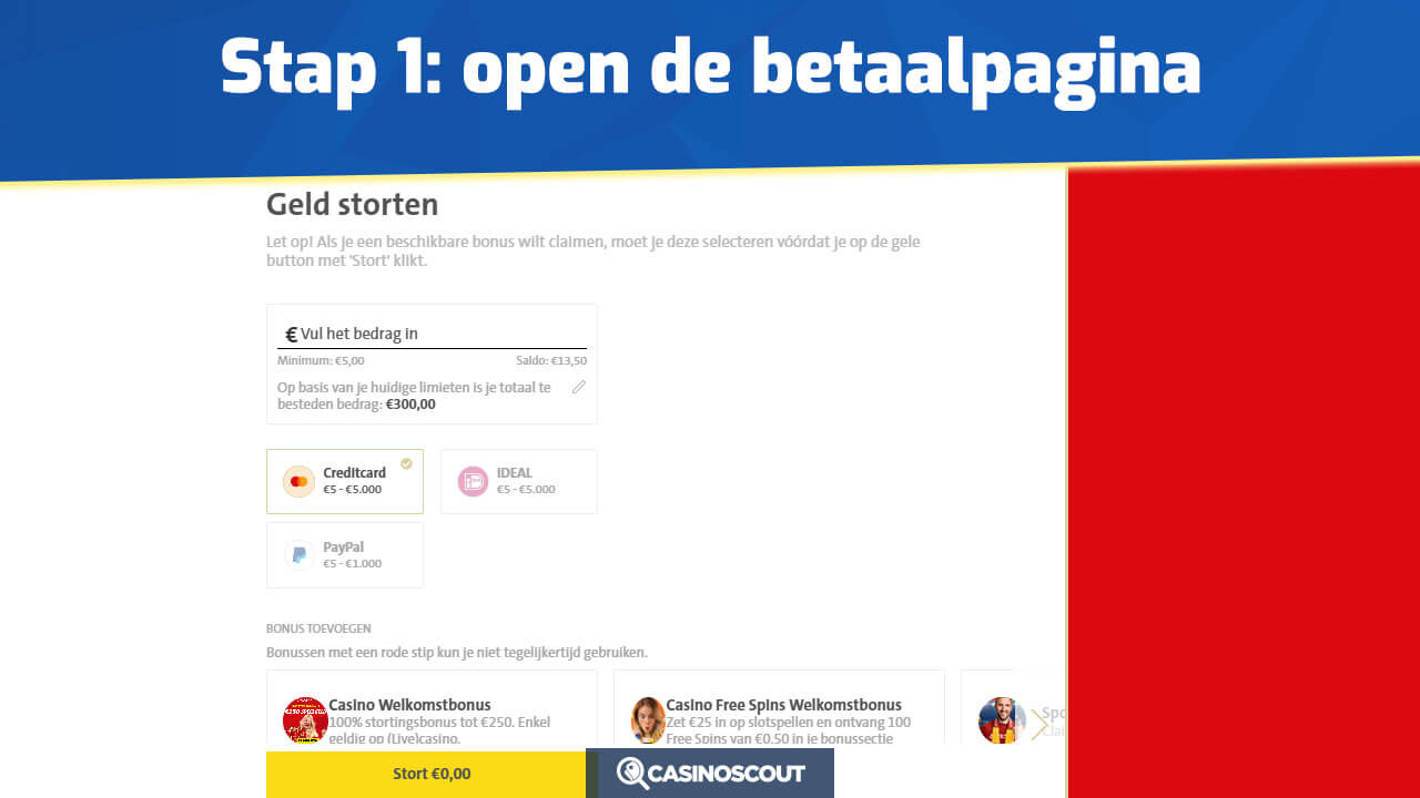 Open de betaalpagina