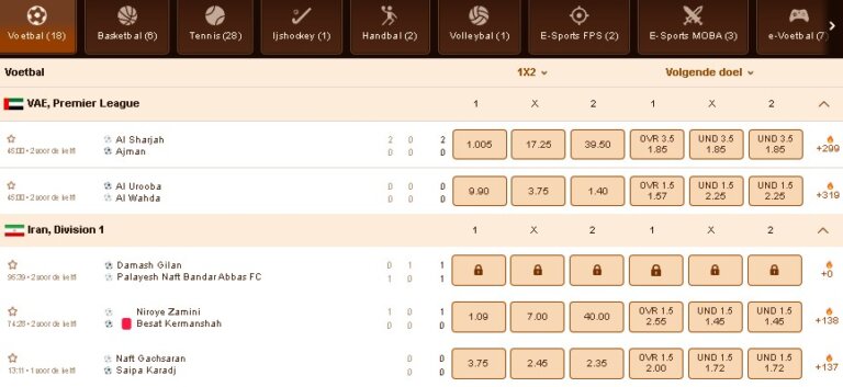 WildRobin Casino Screenshot 2