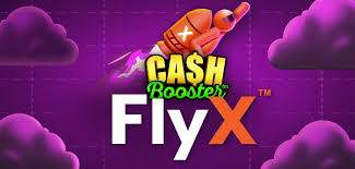 FlyX Cash Booster Review